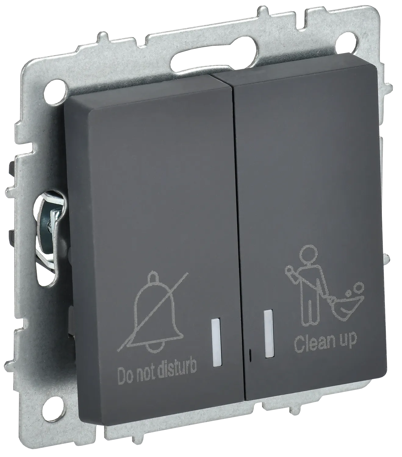 BRITE Выключатель 2-клавишный с индикацией для отелей 10А ВС10-2-9-БрГ графит IEK