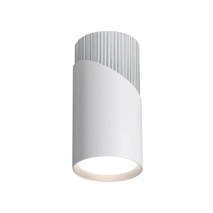 Накладной светильник WOLTA WSL-GU10/06WCH IP20 под лампу GU10 Белый/хром DOLCE D55x110 1/100 - Фото 3