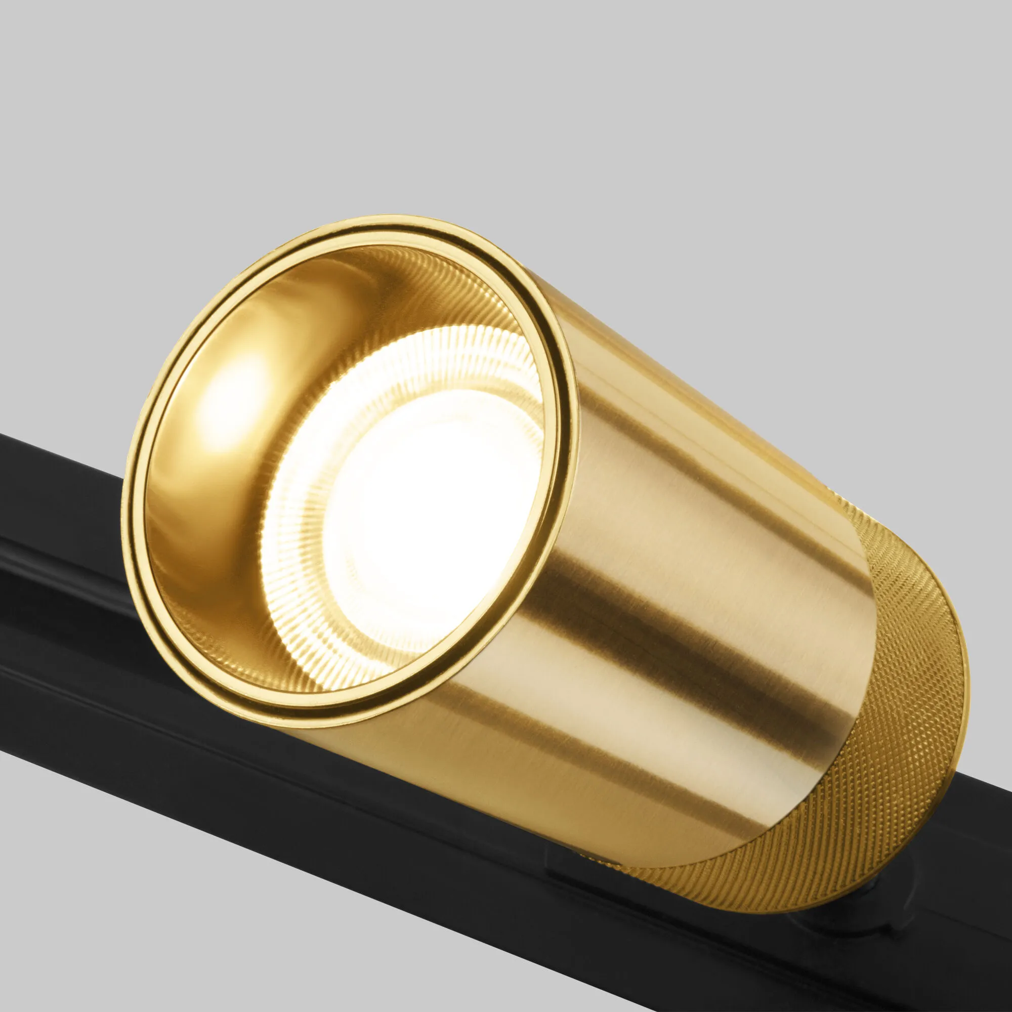 Светильник трековый светодиодный Riffe 85512/01 9W 4200K бронза однофазный Elektrostandard - Фото 2