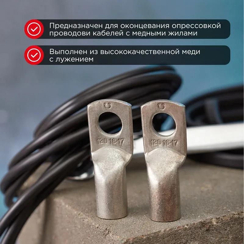Наконечник медный луженый ТМЛ 120–16–17 (120мм² - Ø16мм) ГОСТ 7386-80 (в упак. 2 шт.) REXANT - Фото 2