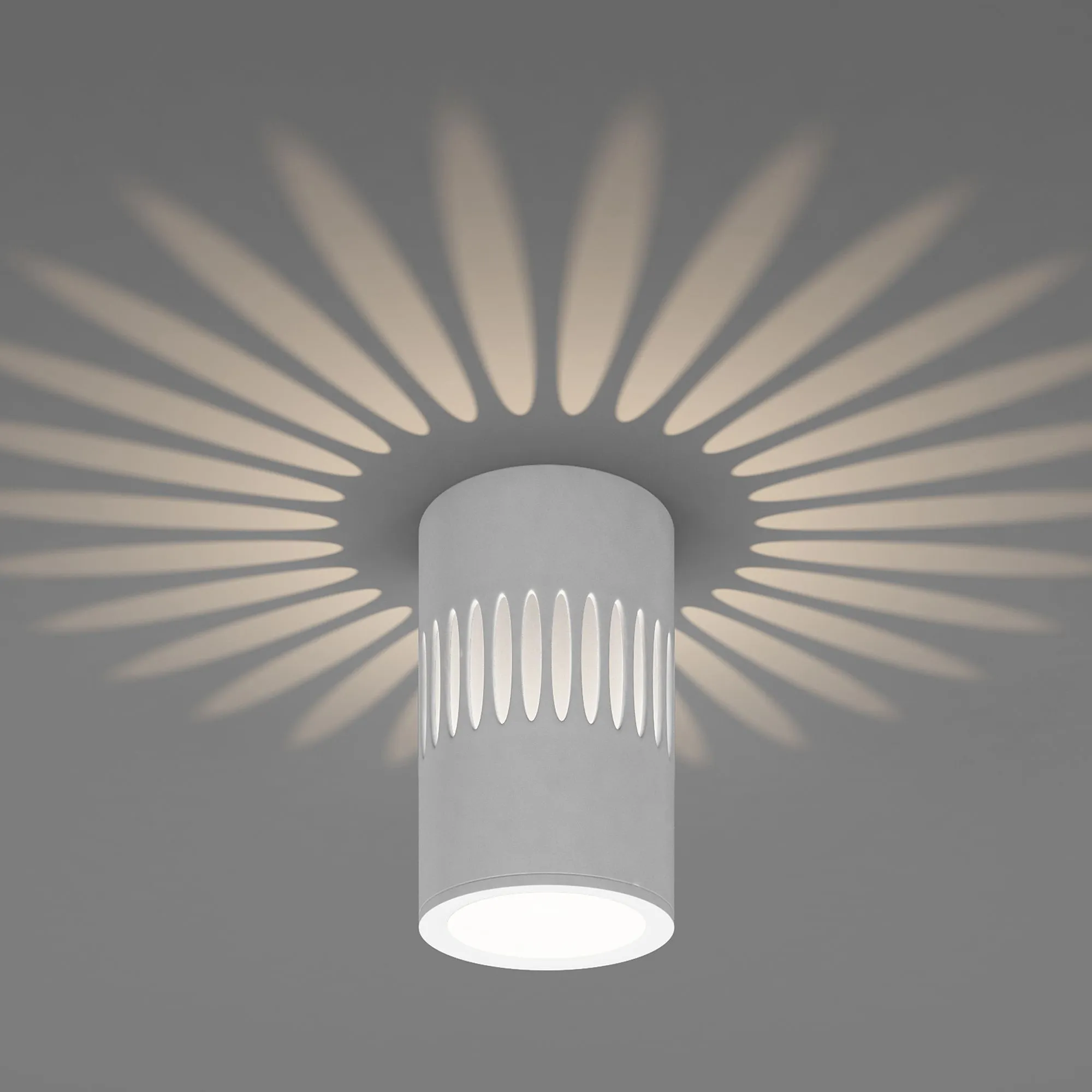 Светильник светодиодный накладной с подсветкой белый DLS026 Elektrostandard