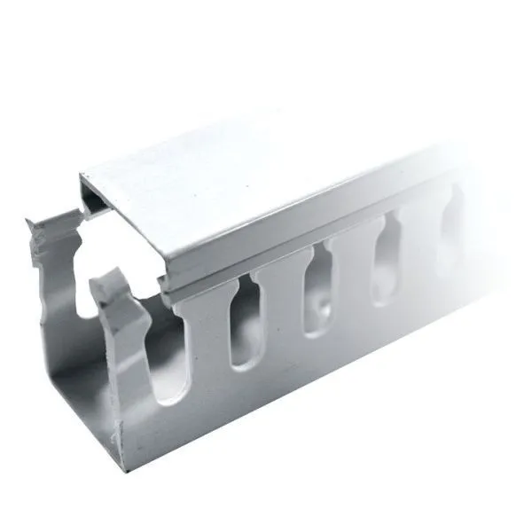 Канал кабельный перфорир. (ВхШ: 30х25мм.) EKF PROxima