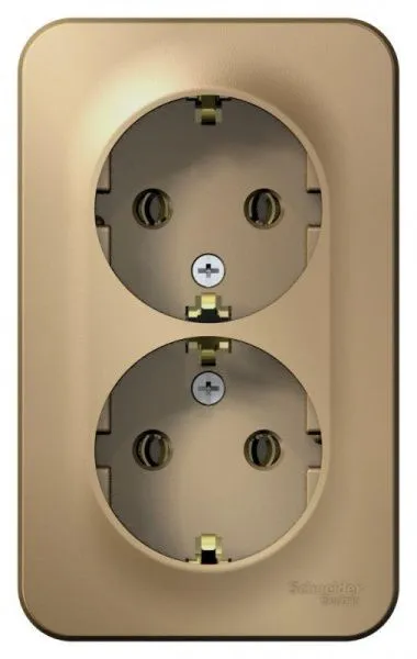 Розетка 2-м ОП Blanca 16А IP20 250В с заземл. без защ. шторок титан SE BLNRA010204