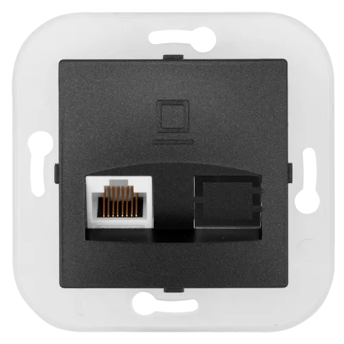 Розетка компьютерная скрытой установки (полимерный суппорт) РК18-013 графит