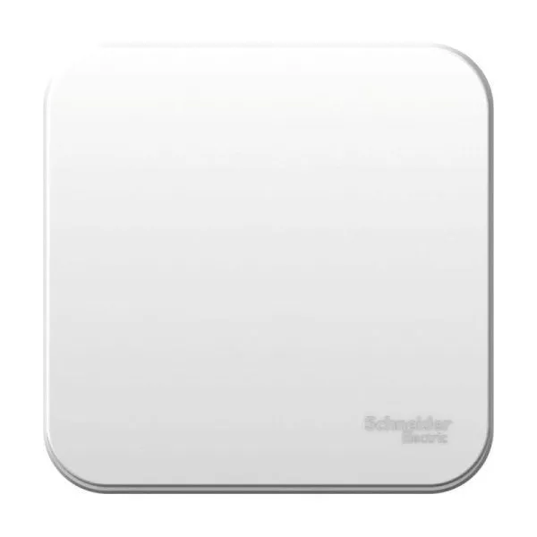 Выключатель 1-кл. ОП Blanca 10А IP20 (сх. 1) с самовозвратом с изолир. пластиной бел. SE BLNCA101011