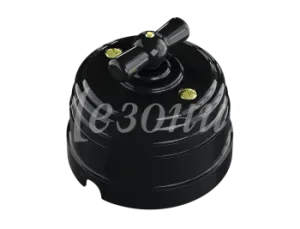 Выключатель ретро пластиковый поворотный на два положения, для включения из 2-х мест (1-клавишный GE30404-05