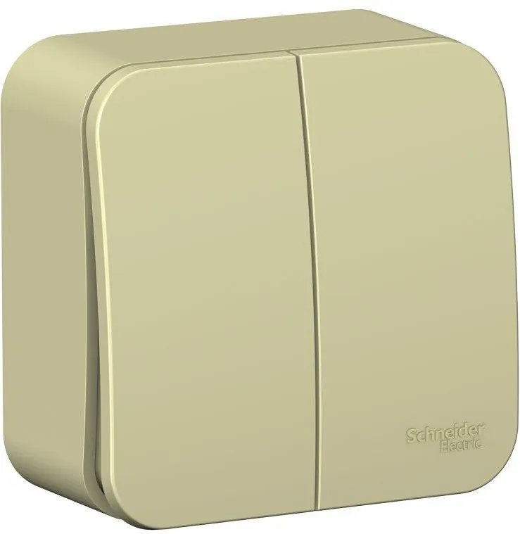 Выключатель 2-кл. ОП Blanca 10А IP20 (сх. 5) 250В с изолир. пластиной беж. SE BLNVA105017