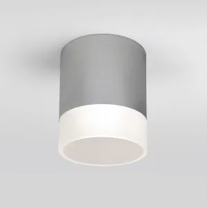 Светильник уличный потолочный Light LED 2107 IP54 35140/H серый Elektrostandard a057161