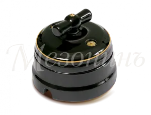 Выключатель ретро фарфоровый поворотн на 4 положения в комплекте с подъемной рамкой, 10А, 250В, цв GE70401-53