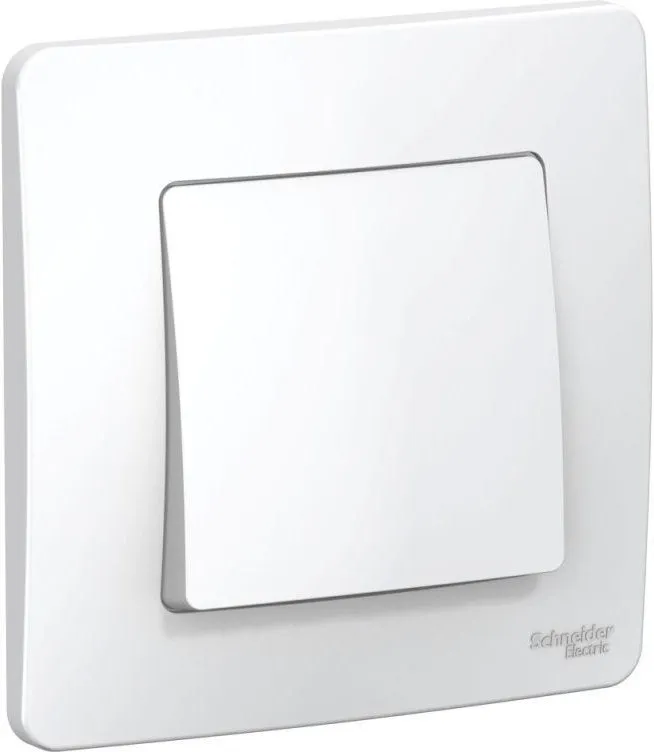 Выключатель 1-кл. СП Blanca 6А IP20 (сх. 1) 250В бел. SE BLNVS006101