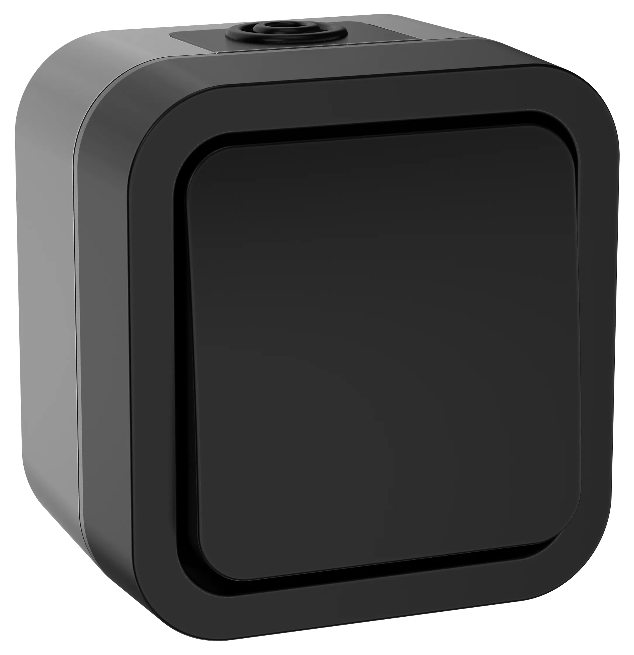 TORS Выключатель двухполюсный одноклавишный 10А IP55 TS111 графит IEK TS-V16-0-10-55-K53