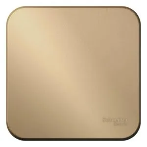 Переключатель проходной 1-кл. ОП Blanca 10А IP20 (сх. 6) 250В с изолир. пластиной титан SE BLNVA106014 1210586