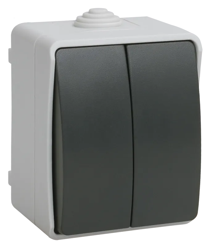 FORS Выключатель 2-клавишный для открытой установки 10А IP54 ВС20-2-0-ФСр серый IEK