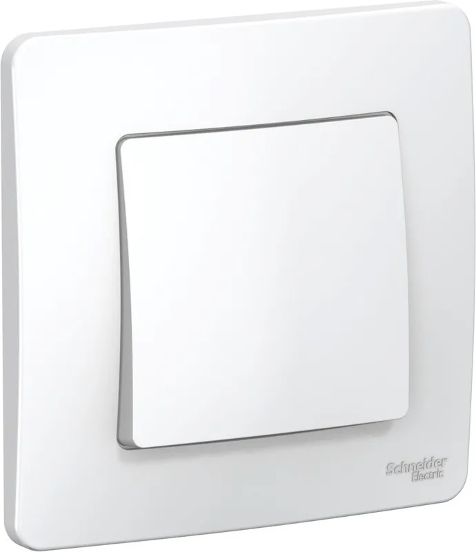 Переключатель проходной 1-кл. СП Blanca 10А IP20 (сх. 6) 250В бел. SE BLNVS010601 - Фото 3
