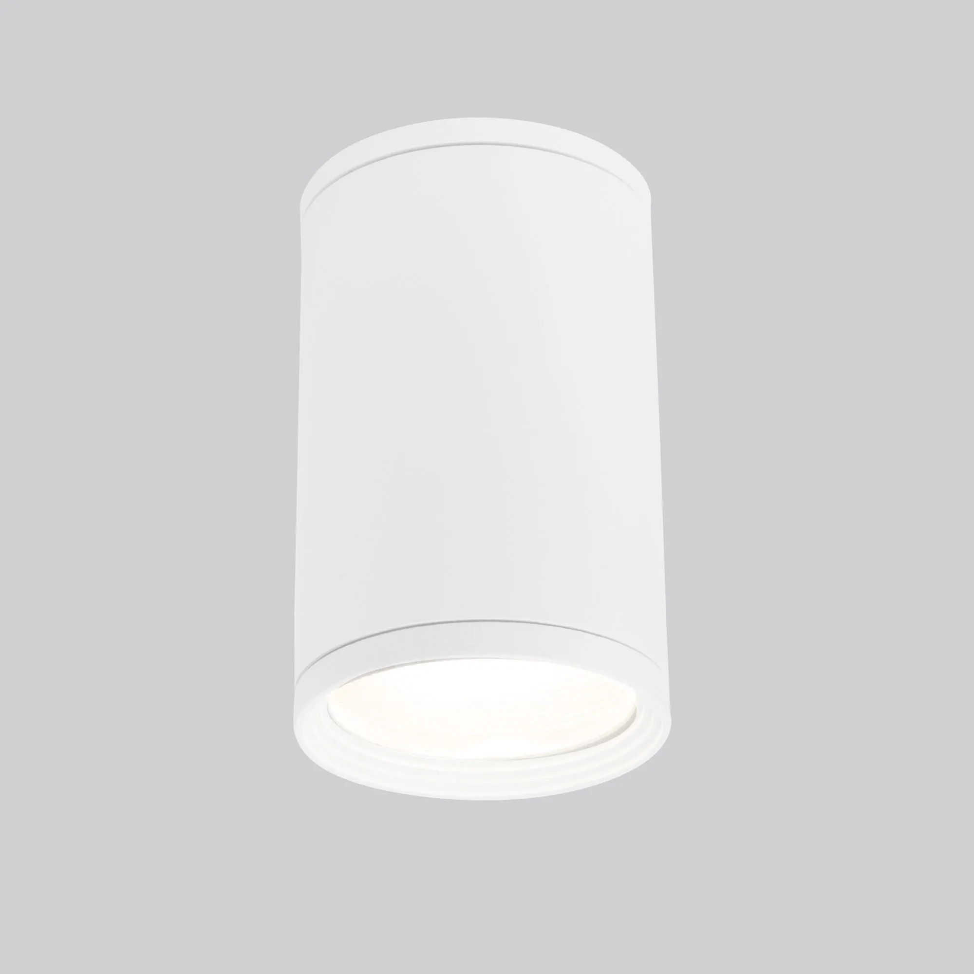 Светильник уличный потолочный Light 2101 IP65 35128/H белый Elektrostandard (УЦЕНКА) для наружного освещения