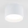 Banti 13W 3000K белый (25123/LED / Светильник потолочный светодиодный 25123/LED Elektrostandard a063927