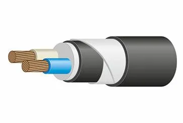 Кабель ВБШвнг(А)-LS 2х25  мк-0,66