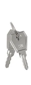 Ключ для пластикового замка к ЩРН (арт. lock-shrn-ip31) EKF PROxima key-4