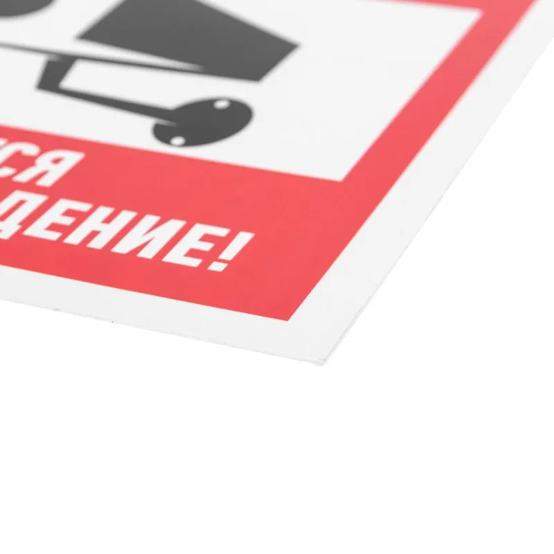 Табличка ПВХ информационный знак «Внимание, ведется видеонаблюдение» 200х200 мм REXANT - Фото 2