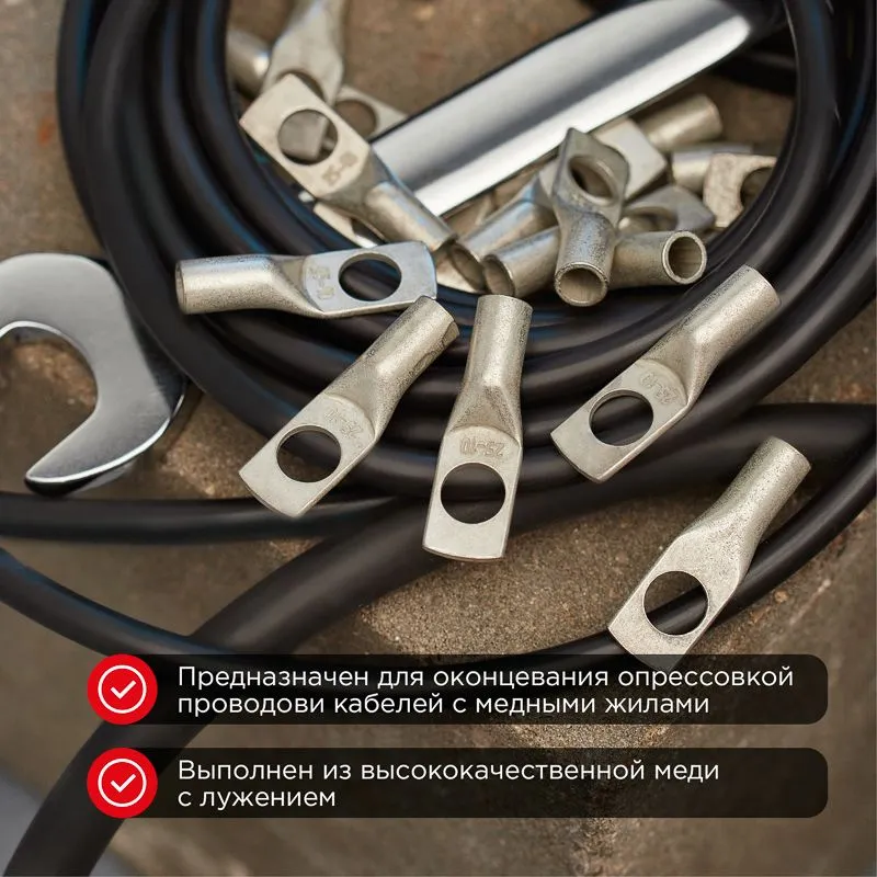 Наконечник медный луженый ТМЛ-Р 25–10 (25мм² - Ø10мм) (в упак. 5 шт.) REXANT - Фото 2