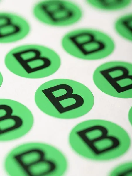 Наклейка "B" (d20) EKF PROxima - Фото 2