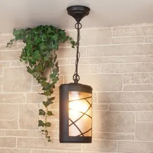 Светильник уличный подвесной IP44 Premier H GL 1017H Elektrostandard a039857