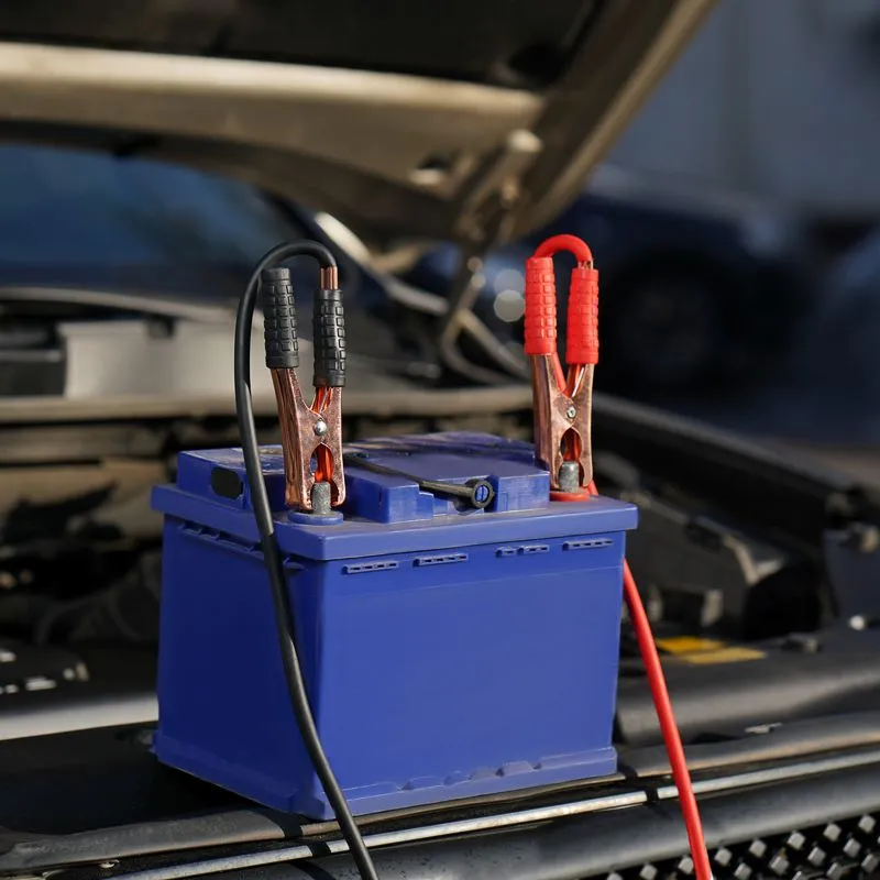 Провода прикуривания 200А, в чехле на молнии REXANT - Фото 2