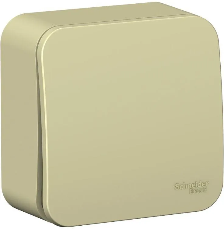 Выключатель 1-кл. ОП Blanca 10А IP20 (сх. 1) 250В с изолир. пластиной беж. SE BLNVA101017