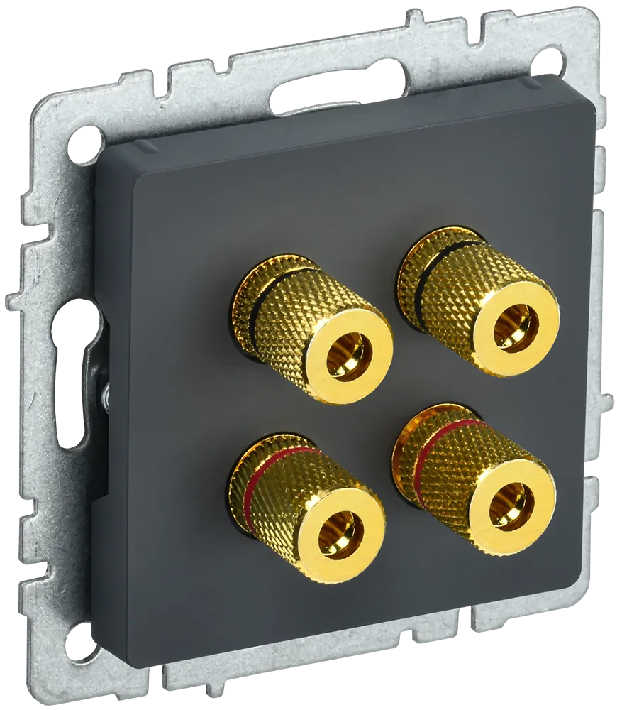 BRITE Аудиорозетка 4-местная РА10-БрГ графит IEK BR-S40-K53