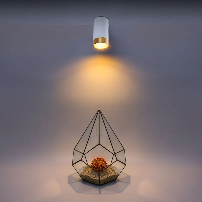 Накладной светильник WOLTA WSL-GU10/10WG IP20 под лампу GU10 Белый/золото CELLA D55x100 1/100 - Фото 2