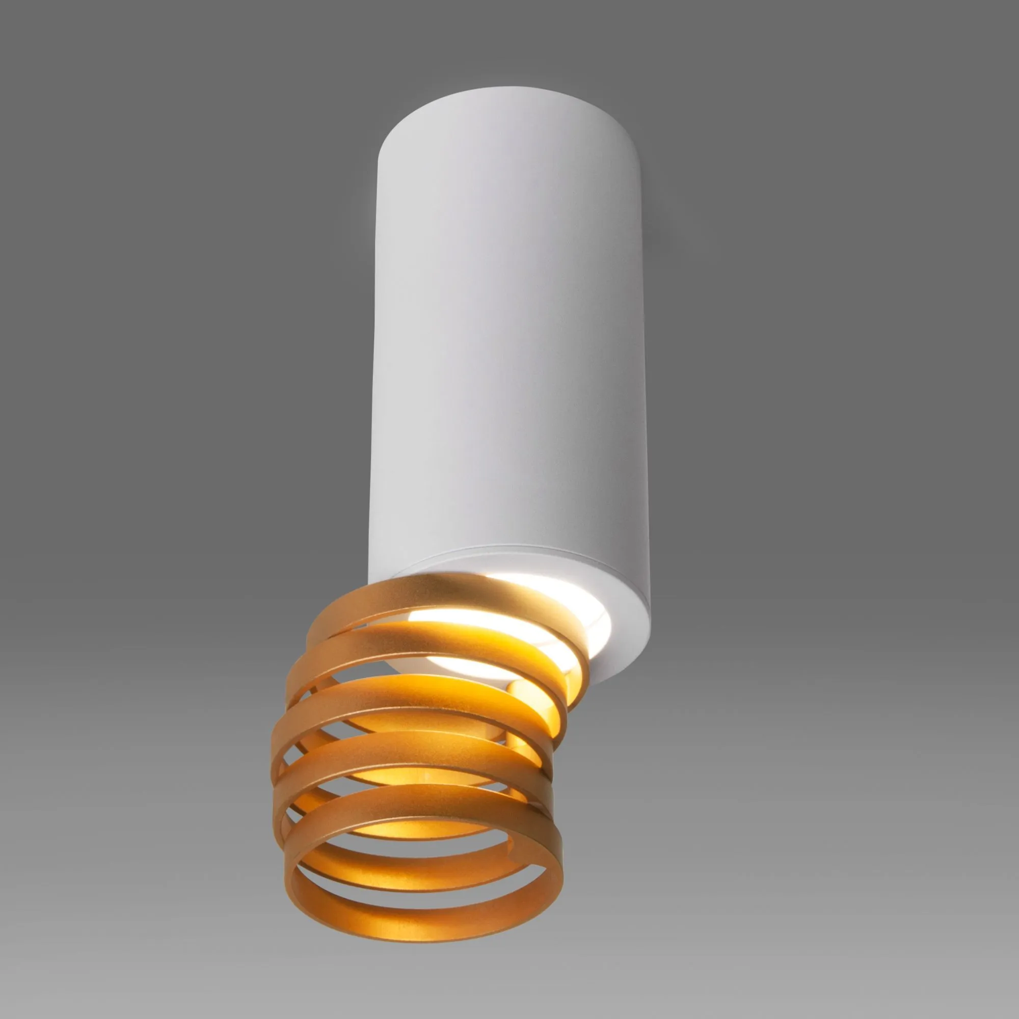 Светильник накладной акцентный DLN102 GU10 Elektrostandard