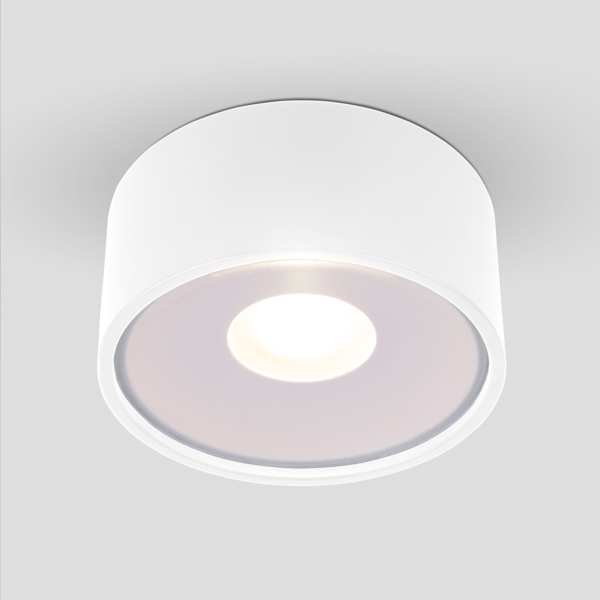 Светильник уличный потолочный Light LED 2135 IP65 35141/H белый Elektrostandard