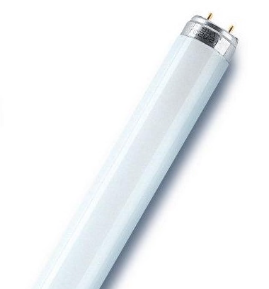 Лампа люминесцентная L 58W/840 LUMILUX 58Вт T8 4000К G13 смол. OSRAM 4058075692916