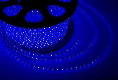 Лента светодиодная 220В, SMD5050, 60 LED/м, синий, 13х8мм, IP67 NEON-NIGHT - Фото 2