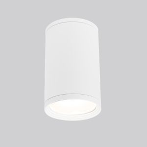 Светильник уличный потолочный Light 2101 IP65 35128/H белый Elektrostandard a056333