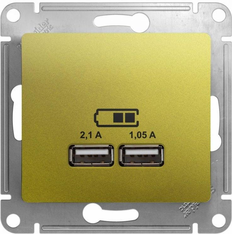 Розетка USB 2-м СП Glossa тип A+A 5В/2100мА 2х5В/1050мА механизм фисташк. SE GSL001033