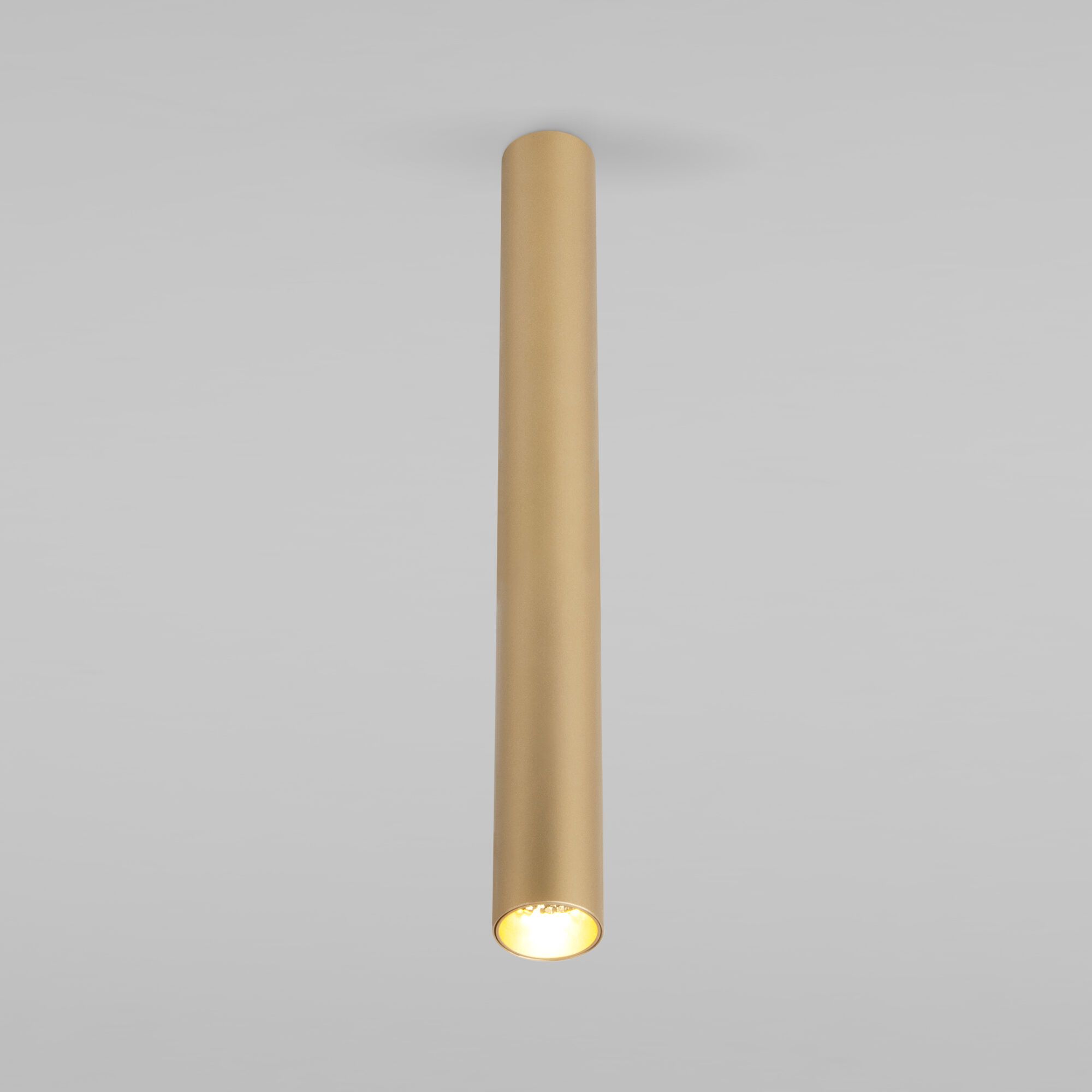 Pika 6W (25030/LED)/Светильник накладной золото 25030/LED Elektrostandard (УЦЕНКА) a061120уц