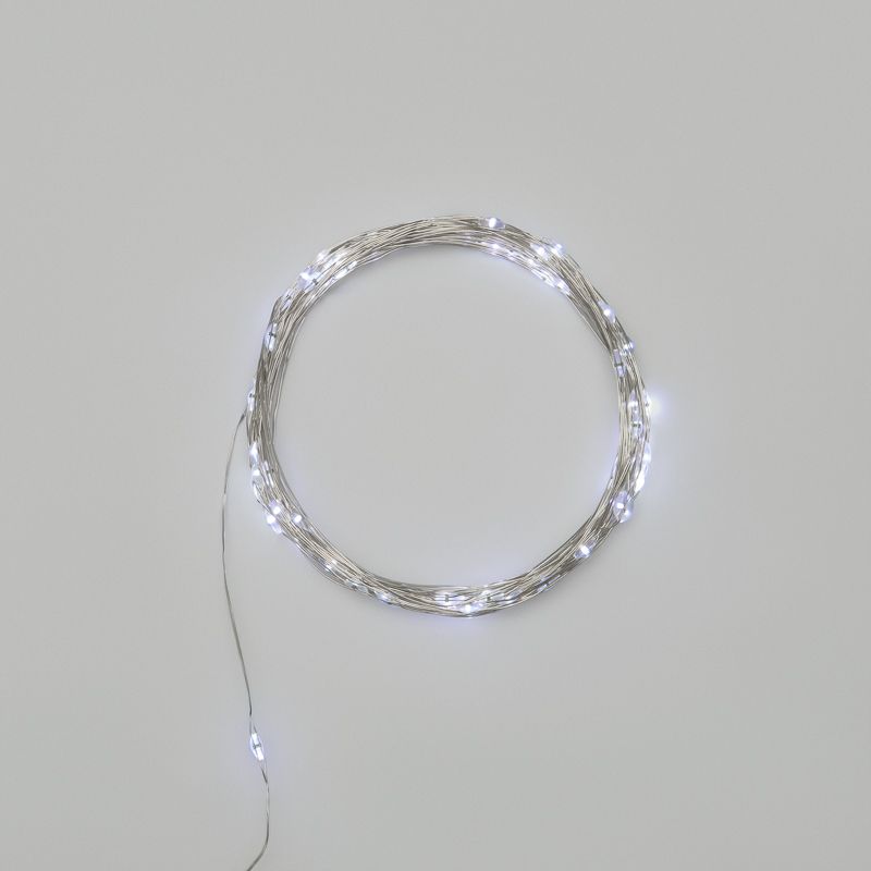 Гирлянда светодиодная Роса 10м, 100LED, БЕЛЫЙ, IP20, USB NEON-NIGHT 315-975