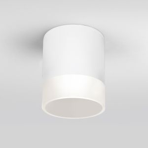 Светильник уличный потолочный Light LED 2107 IP54 35140/H белый Elektrostandard a057160