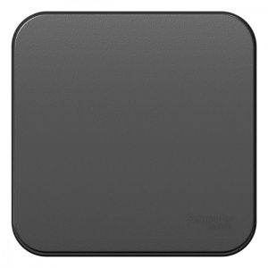 Переключатель проходной 1-кл. ОП Blanca 10А IP20 (сх. 6) 250В с изолир. пластиной антрацит SE BLNVA106016 1210627