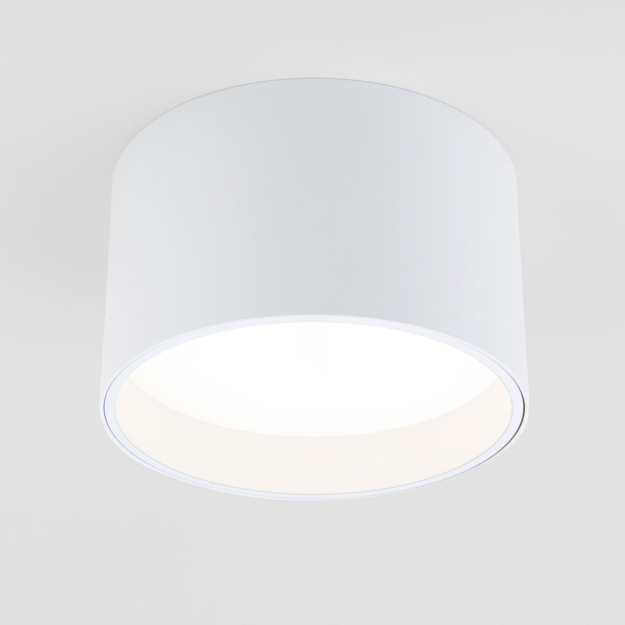 Banti 13W 3000K белый (25123/LED / Светильник потолочный светодиодный 25123/LED Elektrostandard