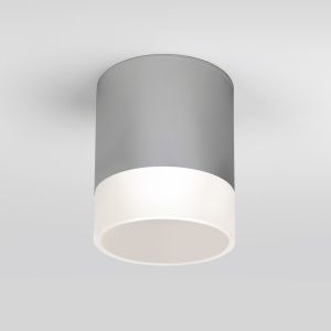 Светильник уличный потолочный Light LED 2107 IP54 35140/H серый Elektrostandard a057161
