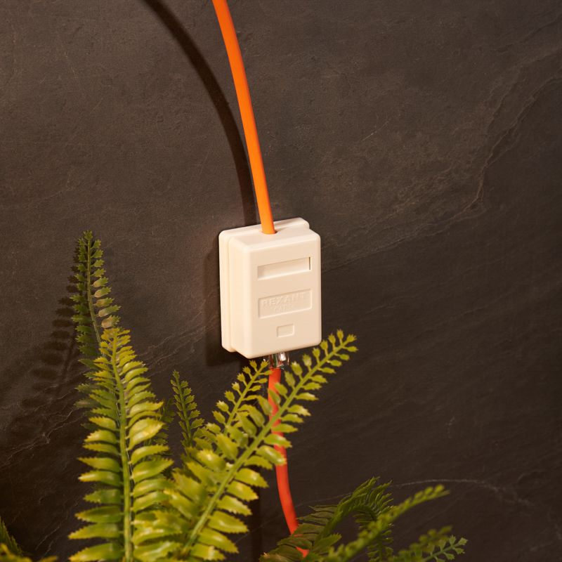 Рoзетка компьютерная внешняя 1-порт, UTP RJ-45 (8P8C), CAT 5e REXANT - Фото 2
