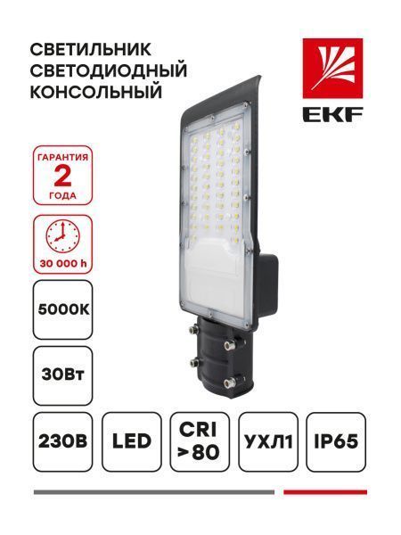 Светильник светодиодный консольный ДКУ-9001-Ш 30Вт 5000К IP65 EKF PROxima - Фото 12