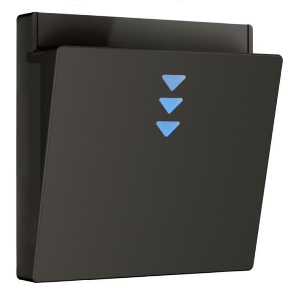 Накладка для электронного карточного выключателя (черный) Werkel