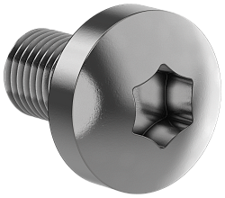 FORMAT Винт М6х10 самонарезающий полукруглая головка шестирадиусный шлиц TORX30 DIN 7500С (500шт/упак) IEK FO-00D-VTORX-M6X10-500