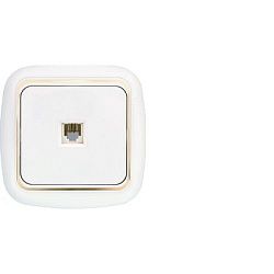 Розетка телефонная четырехконтактная скрытой установки ТР4-023 з 223BY