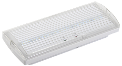 Светильник аварийный ДПА 5030-3 постоянный 3ч IP20 IEK LDPA0-5030-3H-K01