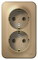 Розетка 2-м ОП Blanca 16А IP20 250В с заземл. без защ. шторок с изолир. пластиной титан SE BLNRA010214 1210596