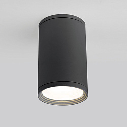 Светильник уличный потолочный Light 2101 IP65 35128/H серый Elektrostandard (УЦЕНКА) a056227уц